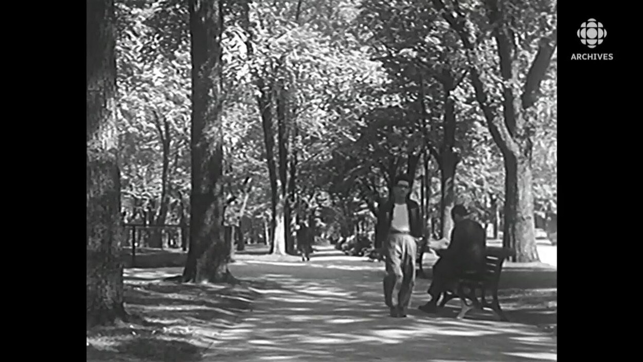 Un homme flâne dans un sentier du parc La Fontaine et circule près d'un autre qui lit son journal sur un banc. Un homme flâne dans un sentier du parc La Fontaine et circule près d'un autre qui lit son journal sur un banc.