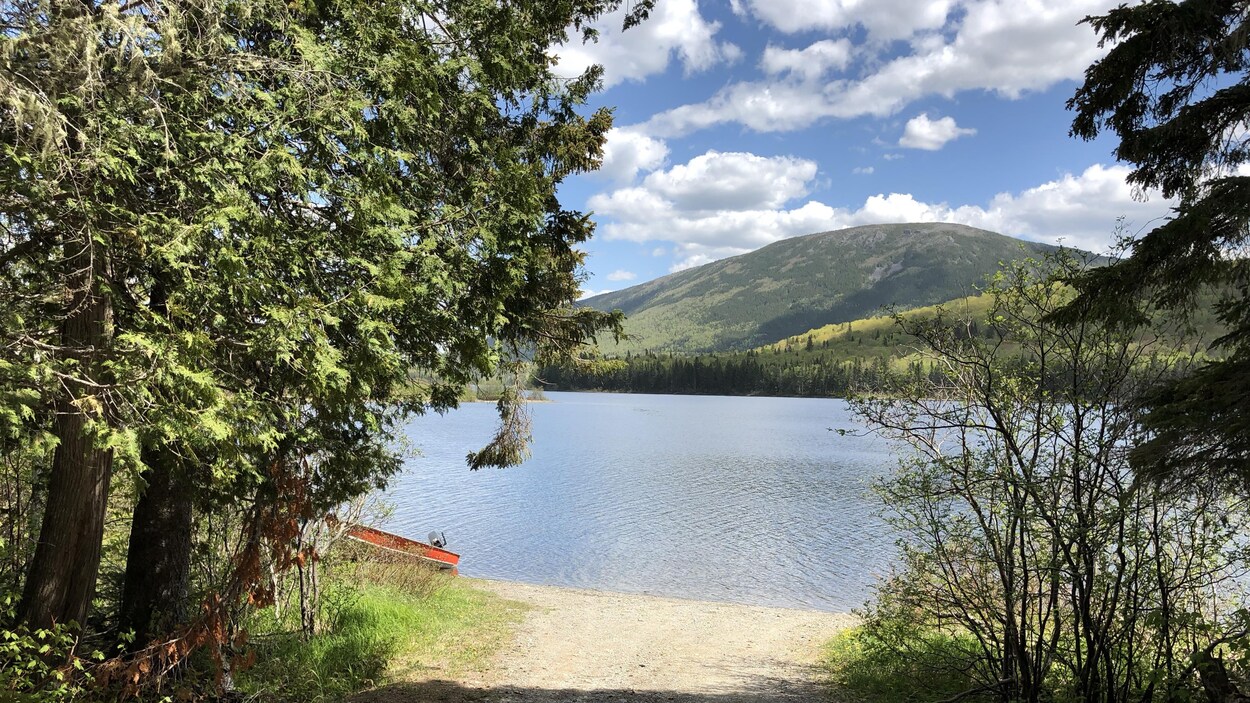 Un petit chemin de terre mène à un lac devant une montagne.