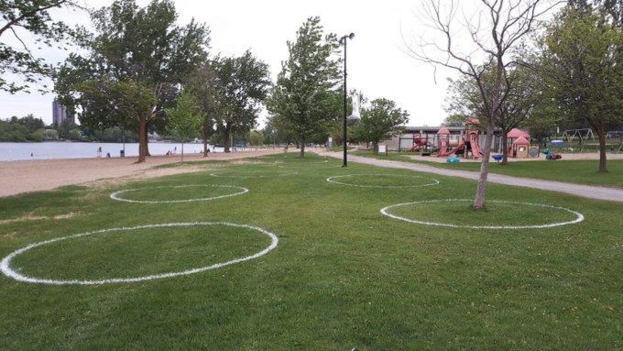 Des cercles de distanciation peints sur le gazon du parc Mooney's Bay