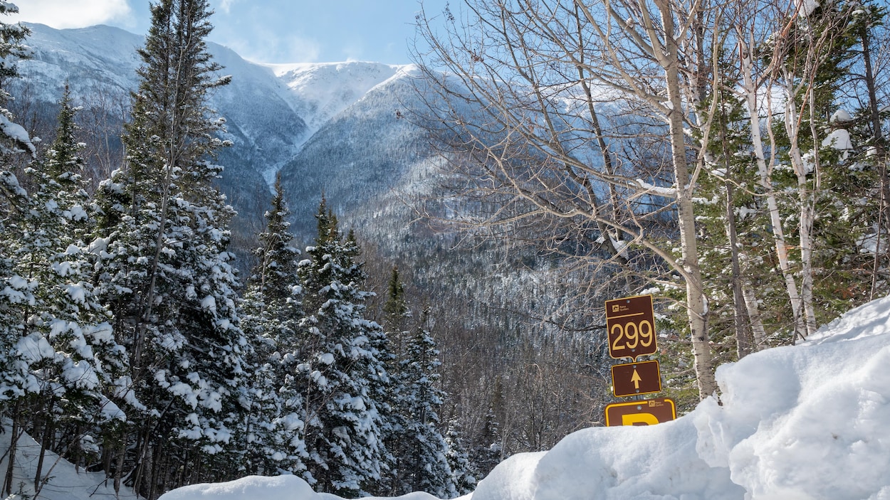 Une clarification du protocole d’urgence réclamée en Haute-Gaspésie