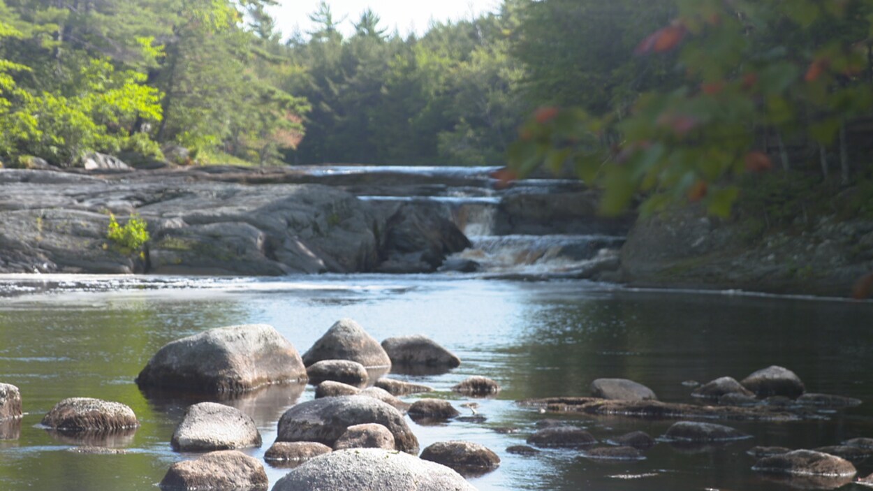 Plan d'eau du Parc national Kejimkujik.