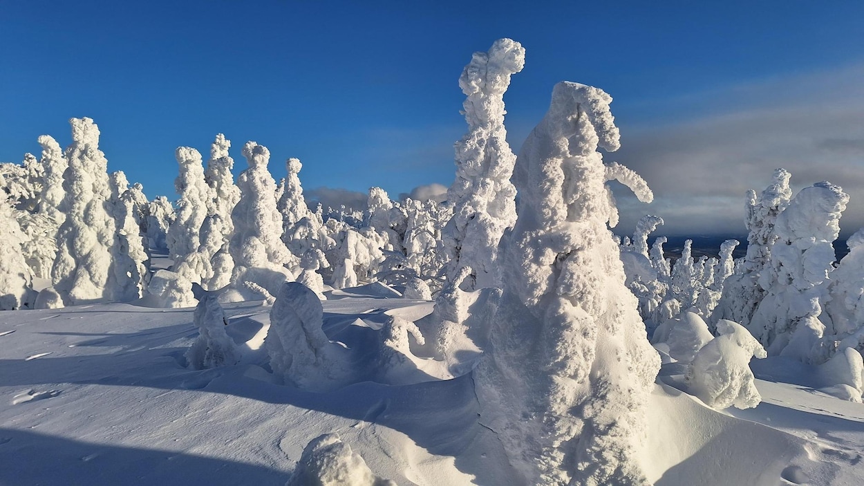 Une bonne saison touristique hivernale, malgré la concurrence