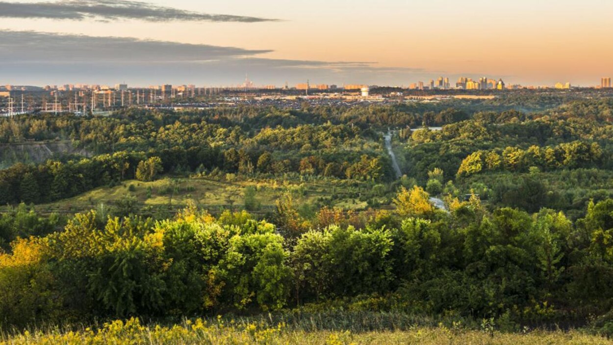 vue du parc avec une ville en arrière