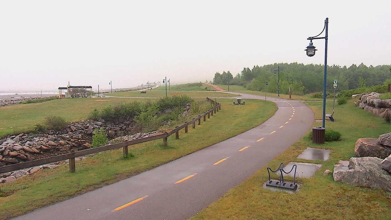 Une piste cyclable traverse un terrain gazonné.