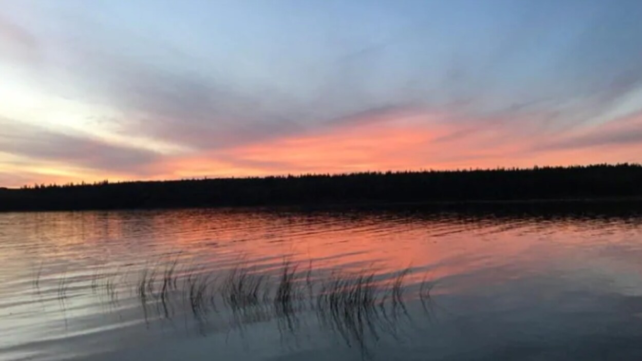 La Saskatchewan autorise l’exploitation forestière dans le parc