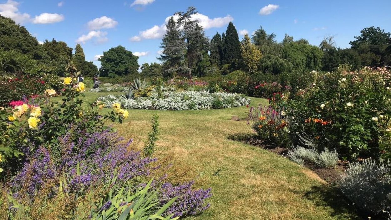 De nombreuses variétés de fleurs et de plantes dans un jardin public par une journée ensoleillée. De nombreuses variétés de fleurs et de plantes dans un jardin public par une journée ensoleillée.