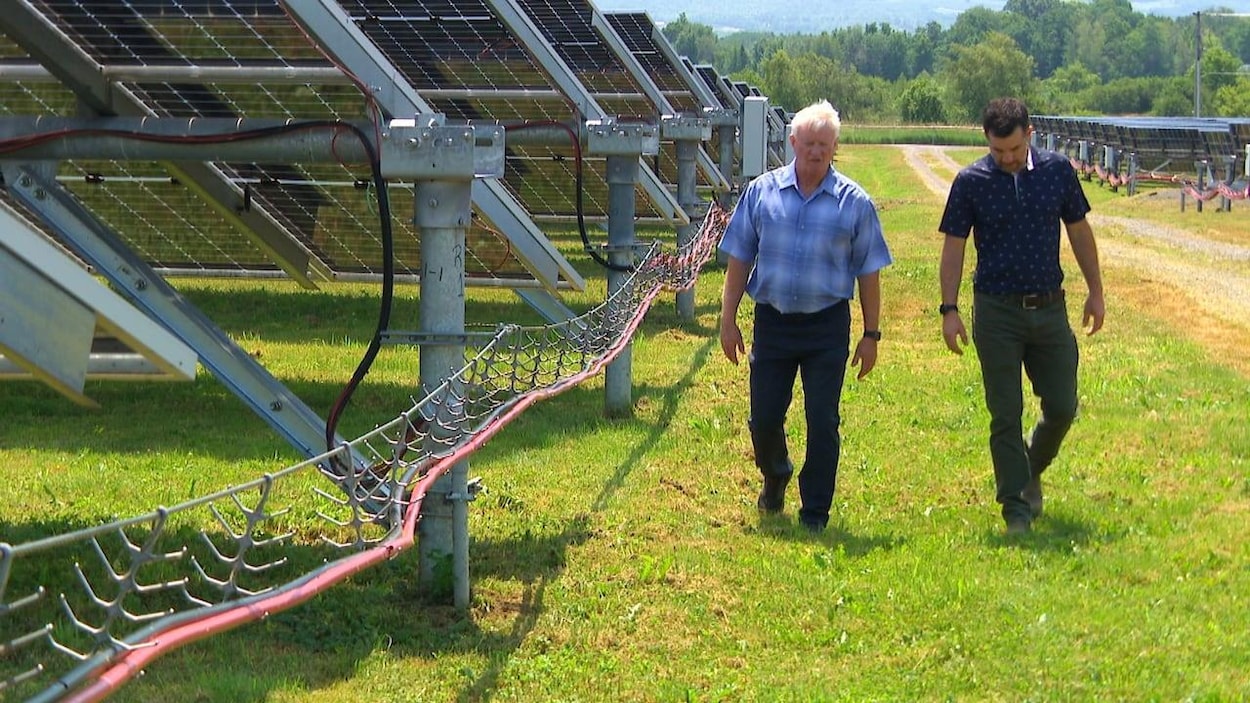 Berwick veut devenir une ville alimentée à 100 % par l’énergie verte