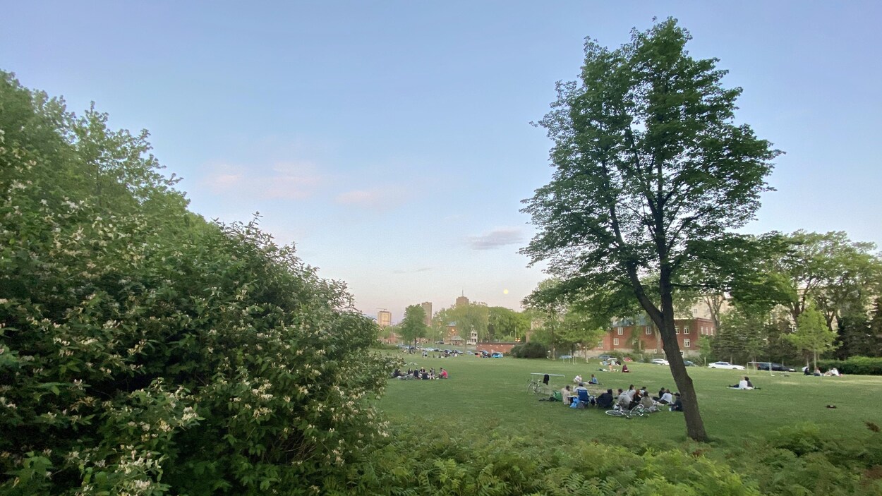 Des gens sont assis sur l'herbe dans un parc en début de soirée.