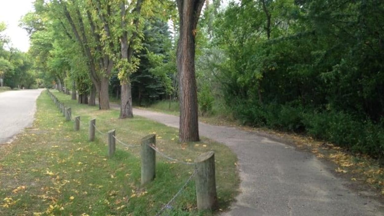Un chemin pour les promeneurs dans le parc Wakamow Valley.