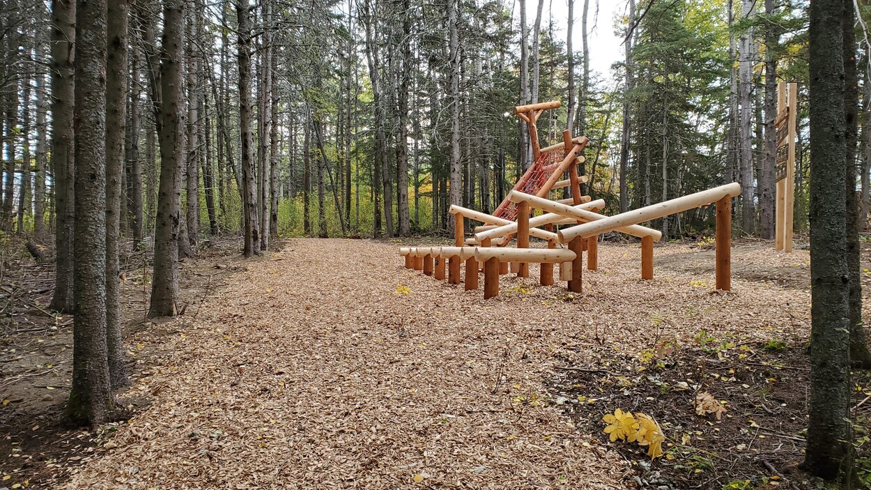 Une structure de bois permettant plusieurs types d'exercices physiques sur un sentier aménagé.