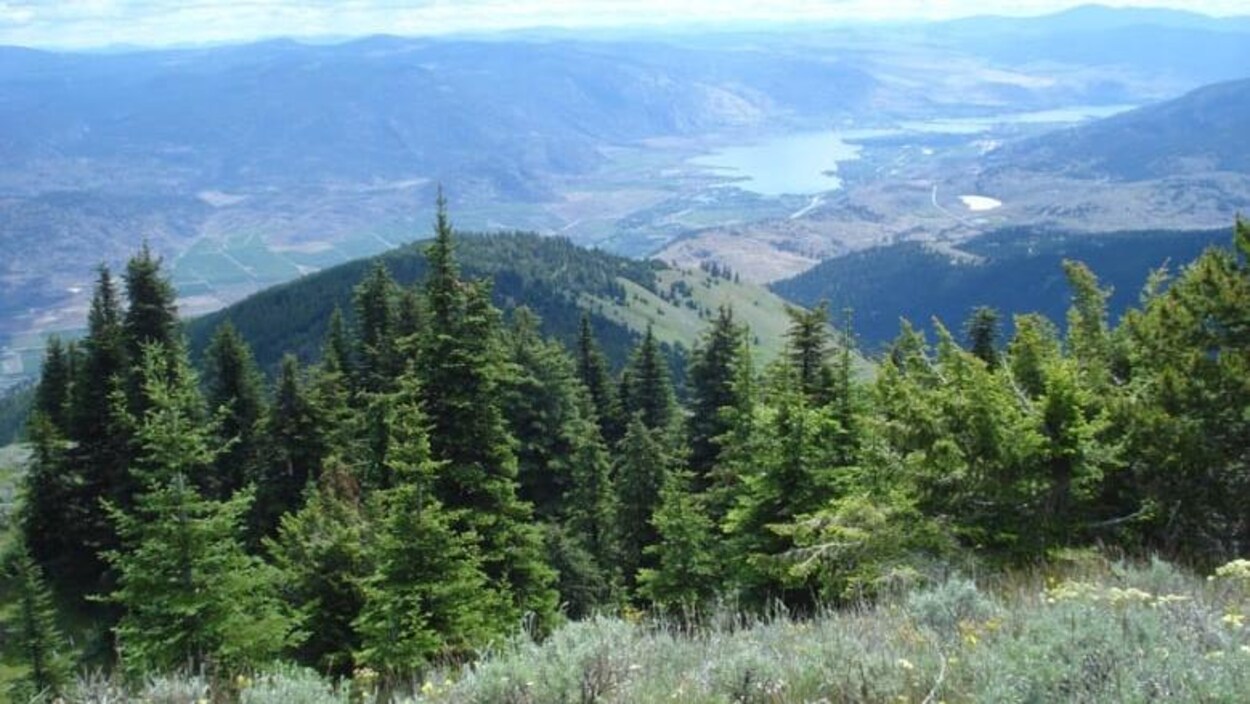 Une montagne verdoyante et au second plan un lac.