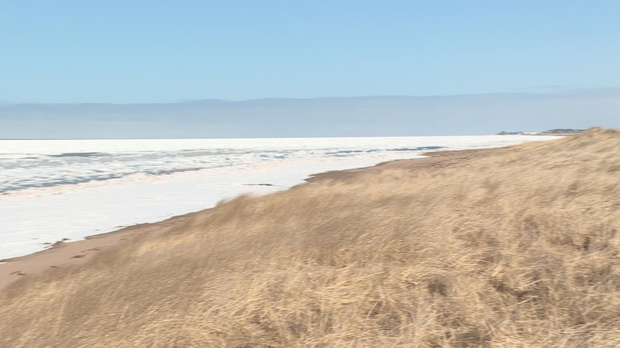 La plage en hiver dans la région de l'Aboiteau. La plage en hiver dans la région de l'Aboiteau.