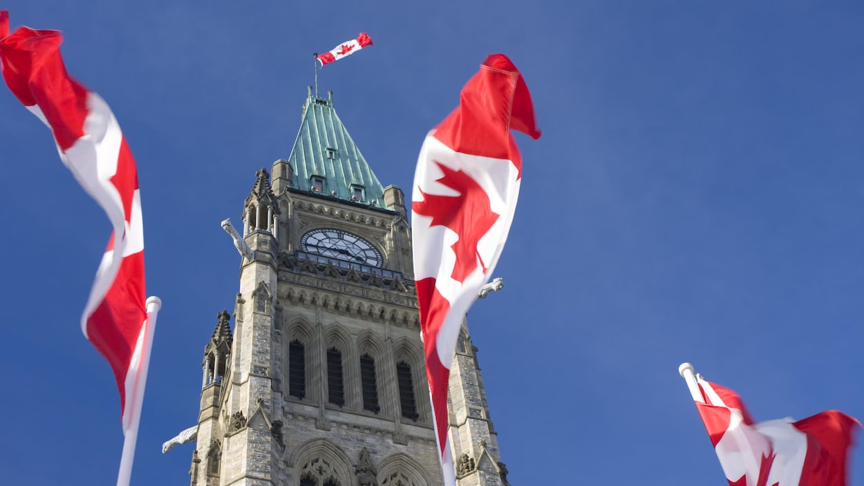 En arrière-plan, la Tour de la Paix du Parlement du Canada. En avant-plan, des drapeaux du Canada flottent au vent.