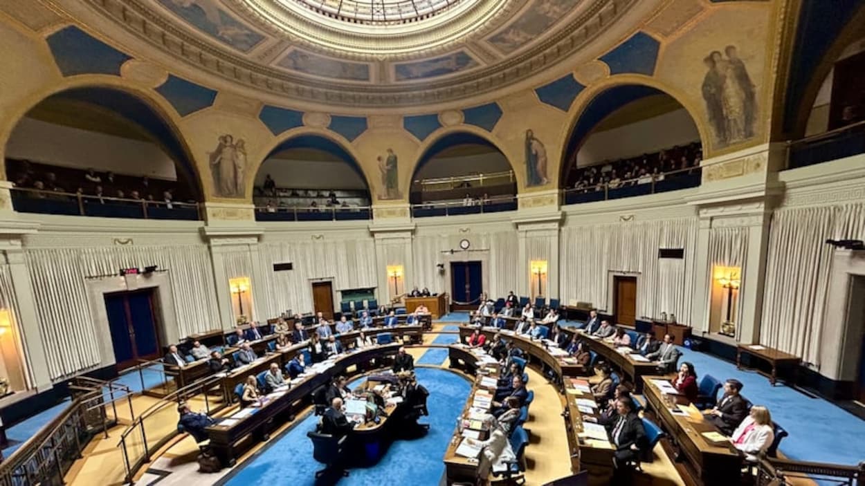 Accusations de racisme et de transphobie : climat tendu à l’Assemblée législative