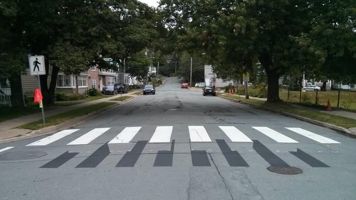 Photo du passage piétonnier en 3D le 20 août 2019.