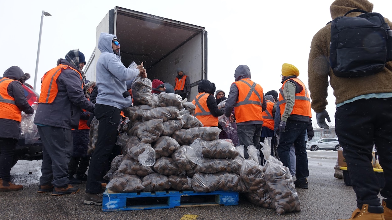 Plus de 36 000 kg de pommes de terre offerts à des gens dans le besoin