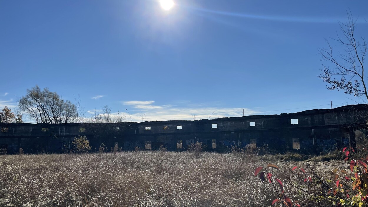 Les ruines de la patinoire centenaire Sunny Brae, à Moncton, pourraient