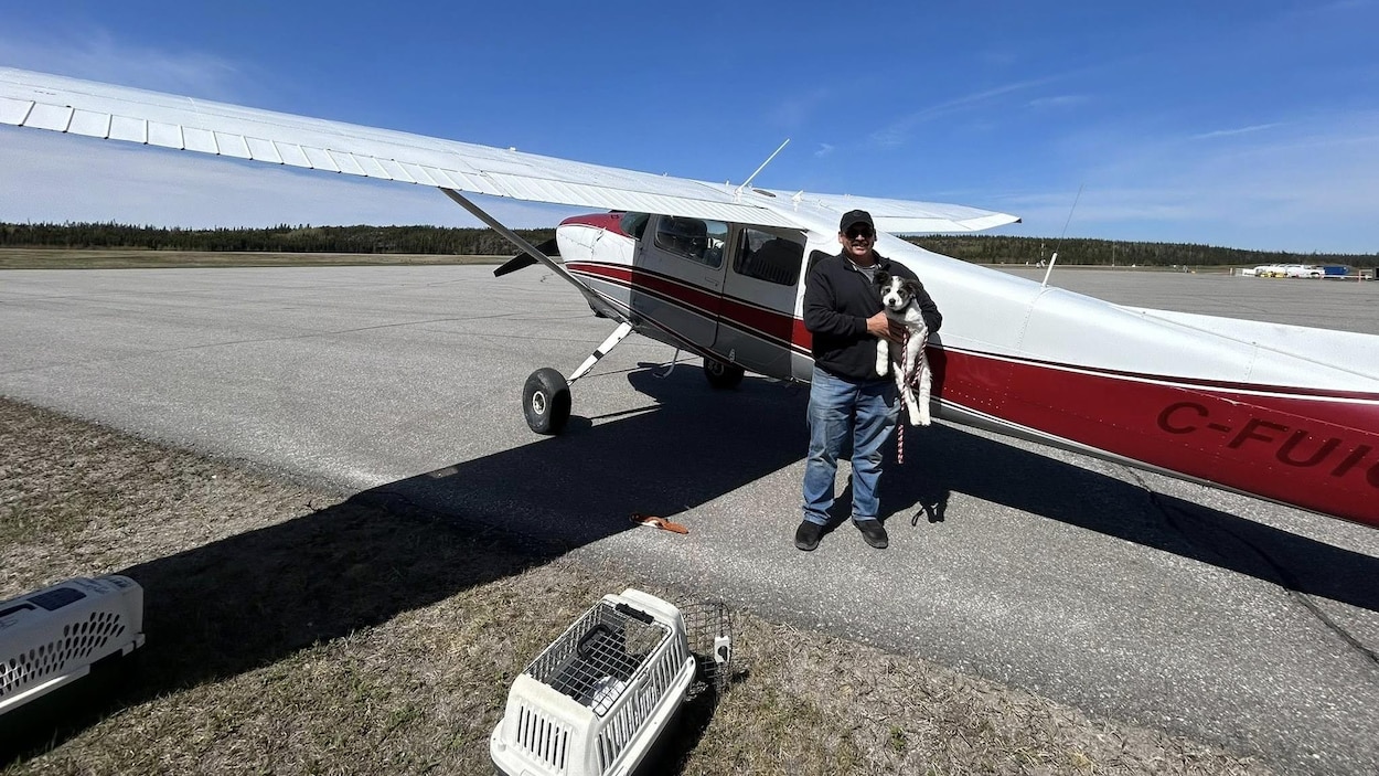Un pilote au secours des animaux du Nord