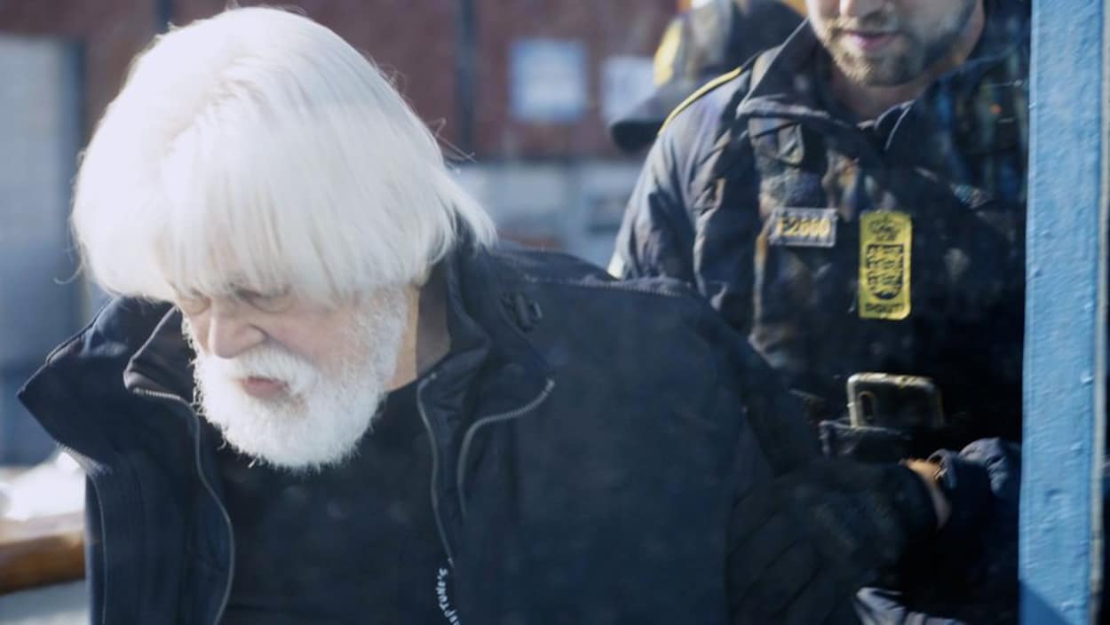 Paul Watson, fundador da Sea Shepherd, é preso na Groenlândia