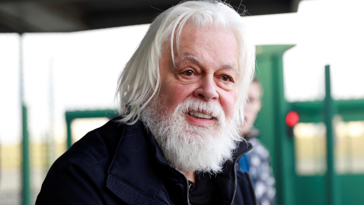 Le militant Paul Watson s’oppose au projet de refuge pour les baleines de la N.-É.