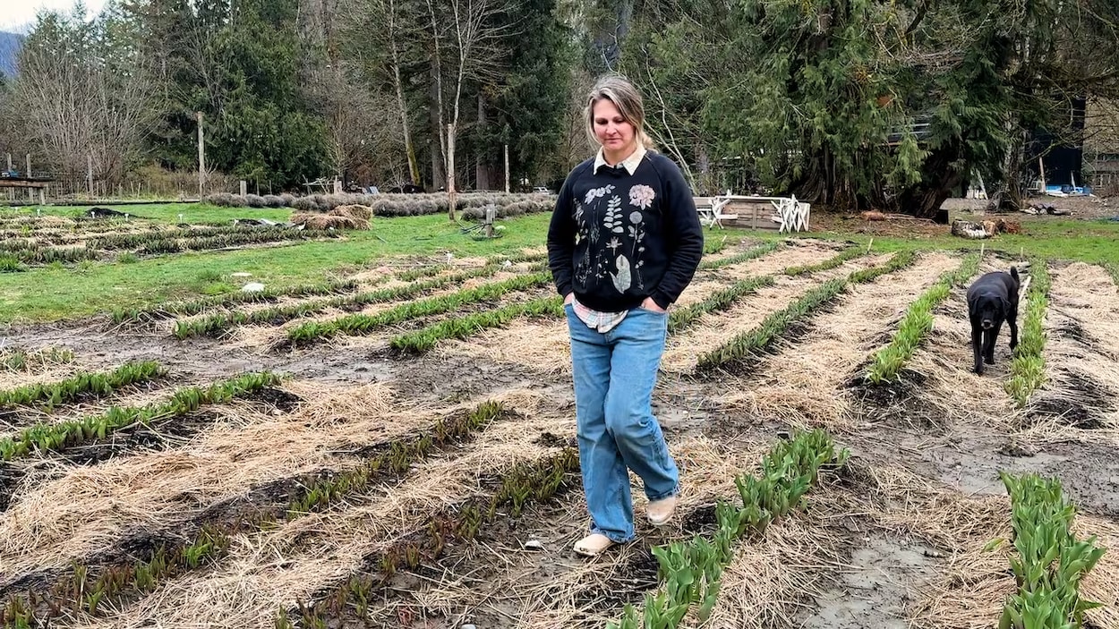 Une ferme florale de Squamish mise sur la résilience face aux intempéries