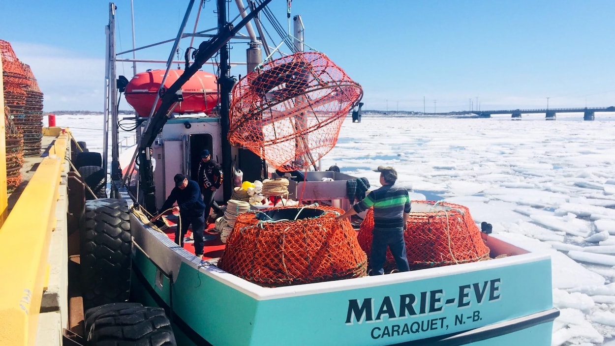Au quai de Shippagan, les pêcheurs de crabe des neiges retiennent leur souffle et espèrent pouvoir prendre la mer bientôt.