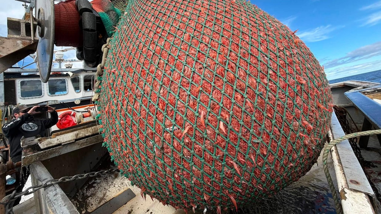 Le voyage record du dernier pêcheur de crevettes de la Côte-Nord