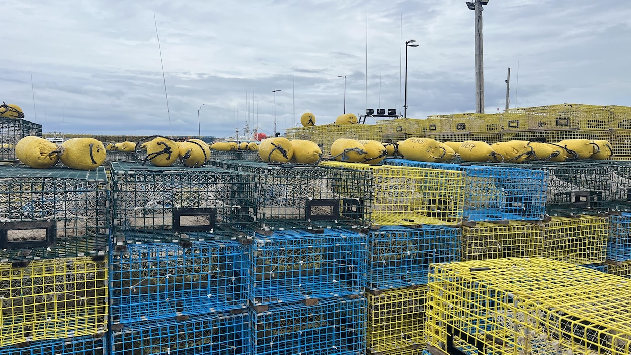 Des améliorations à venir au port de Cap-Lumière
