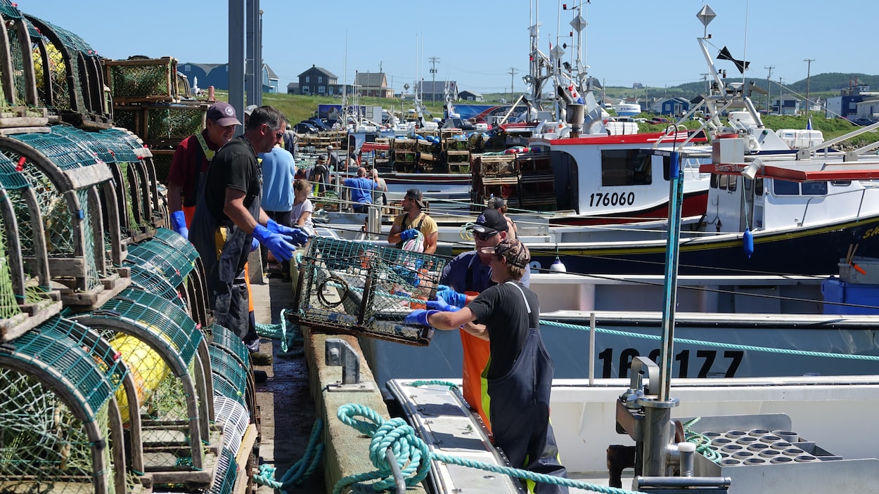 La valeur des débarquements de homard atteint un nouveau sommet aux Îles