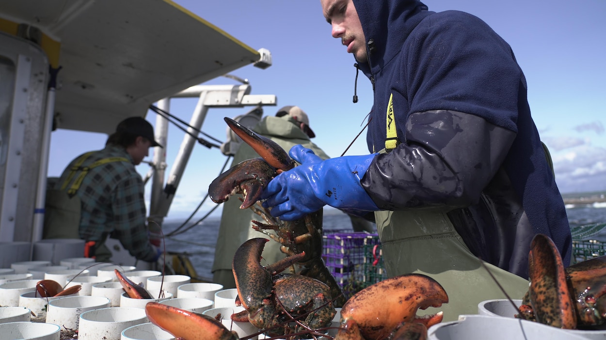 Les contre-tarifs, un électrochoc pour l’industrie de la pêche