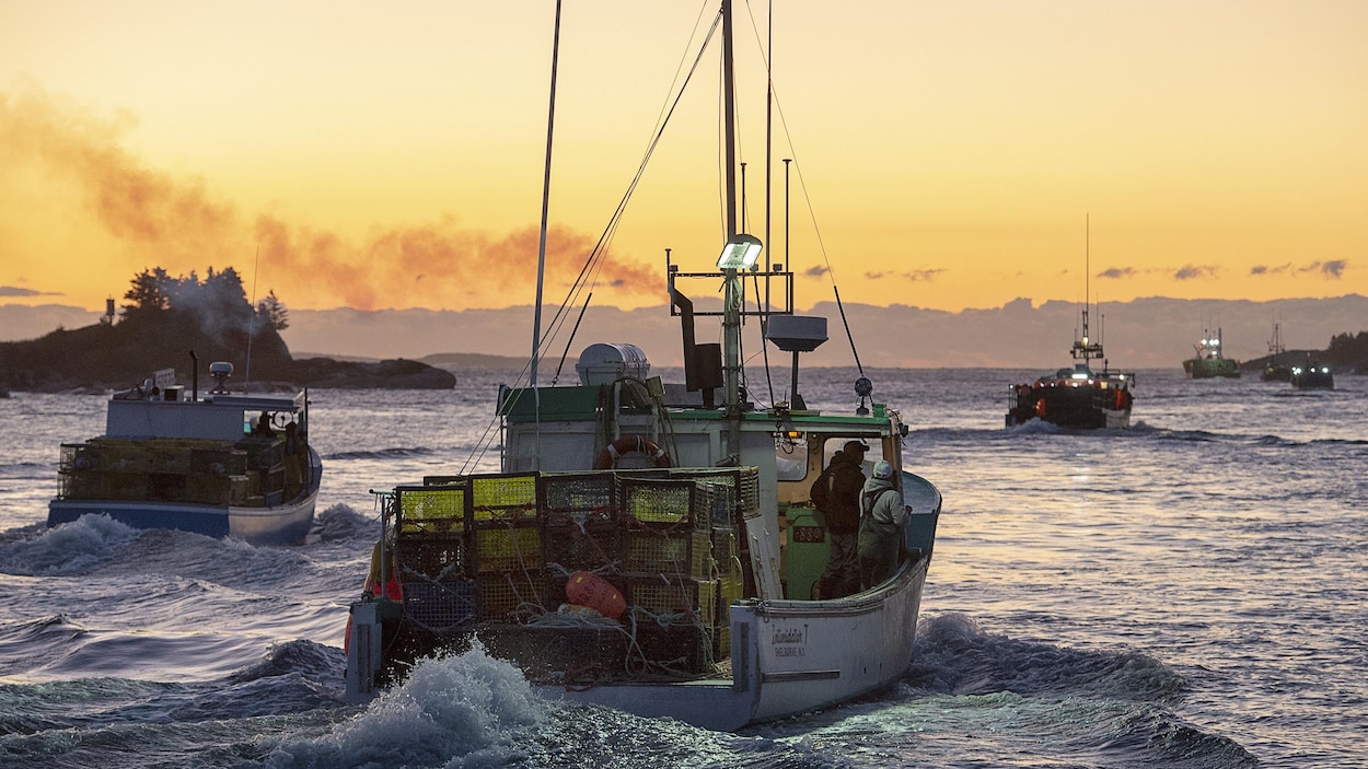 Comment débuter la pêche en mer depuis un bateau ?