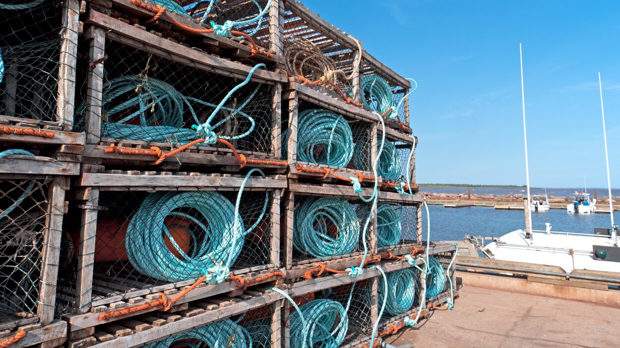 Des casiers à homard sur un quai.