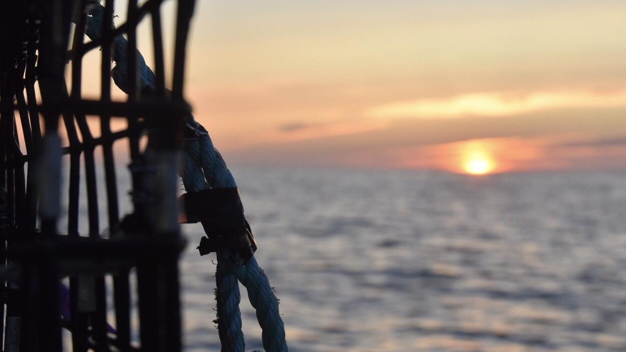 Un casier de pêche avec un soleil qui se lève à l'horizon sur la mer.