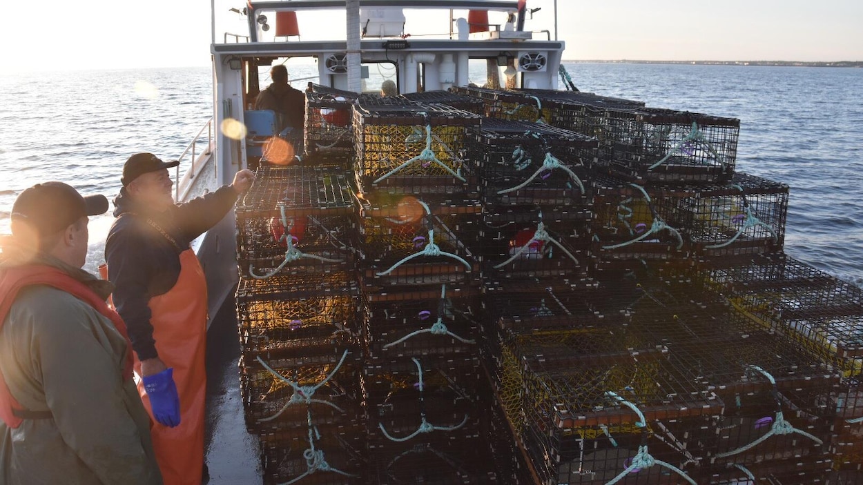 Des pêcheurs sur le pont de leur bateau sourire aux lèvres.