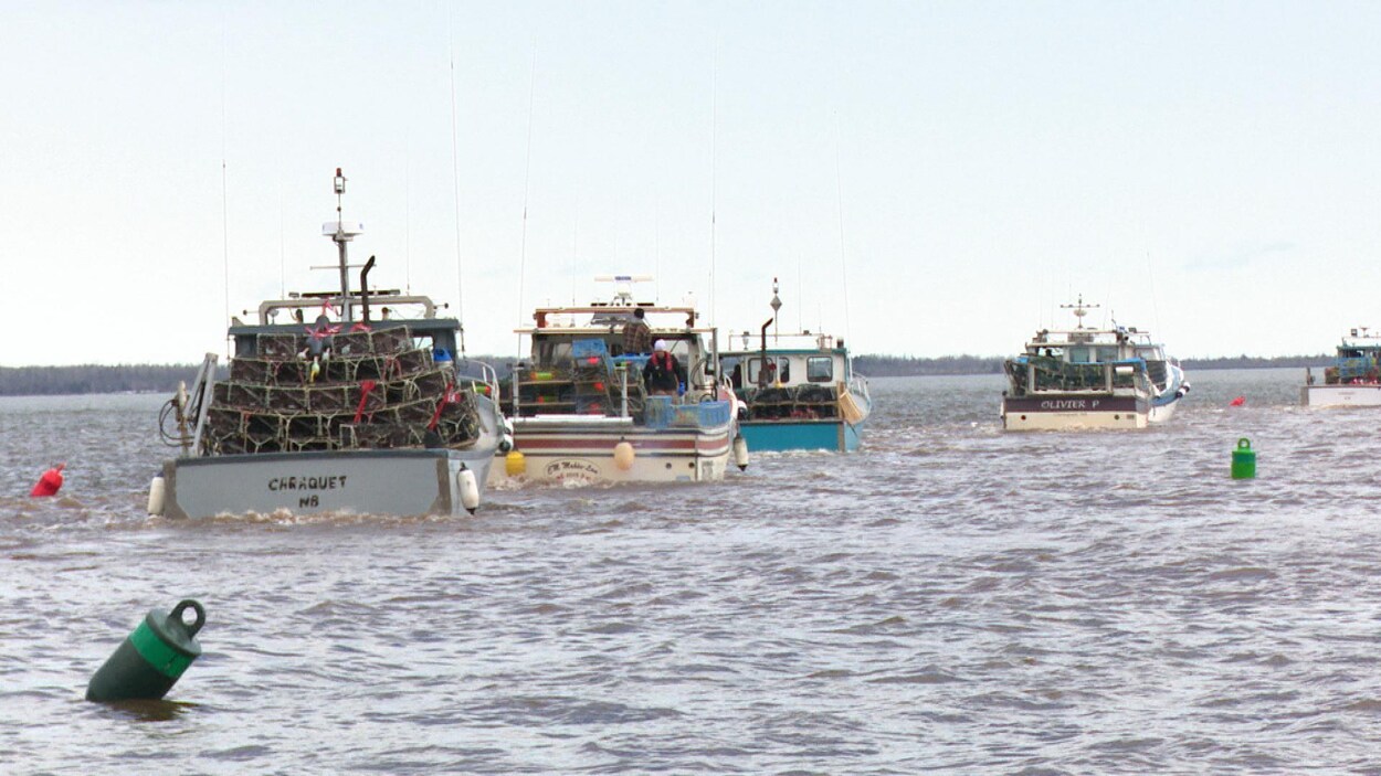 Des bateaux de pêche au homard prennent la mer à Pigeon Hill, dans la Péninsule acadienne. Des bateaux de pêche au homard prennent la mer à Pigeon Hill, dans la Péninsule acadienne.