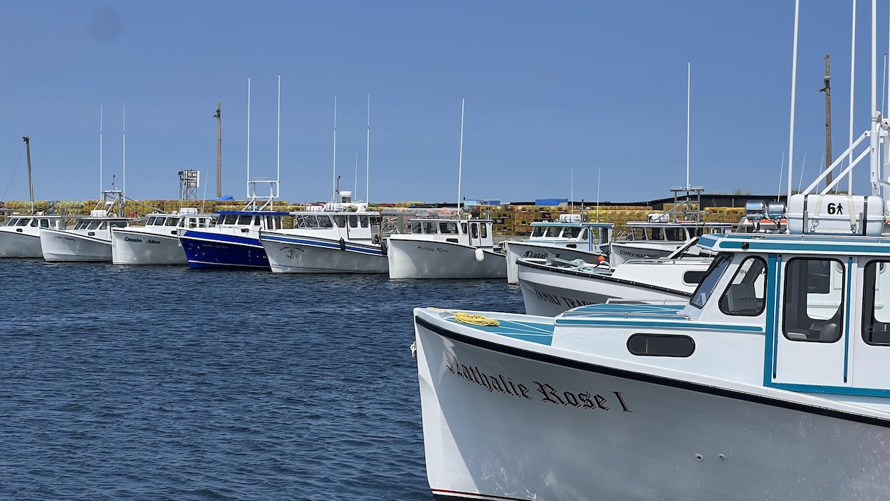 Ottawa annonce 463,3 millions sur trois ans pour les petits ports de pêche