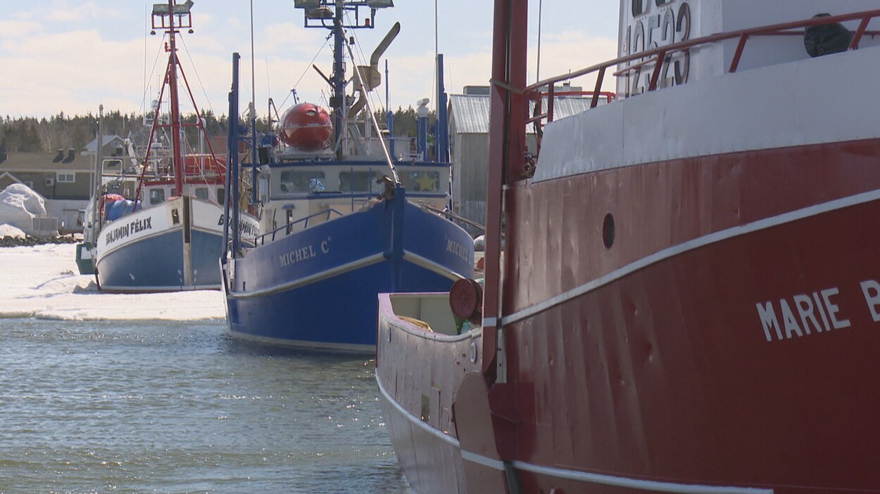Trois bateaux sont amarrés au quai de Caraquet.
