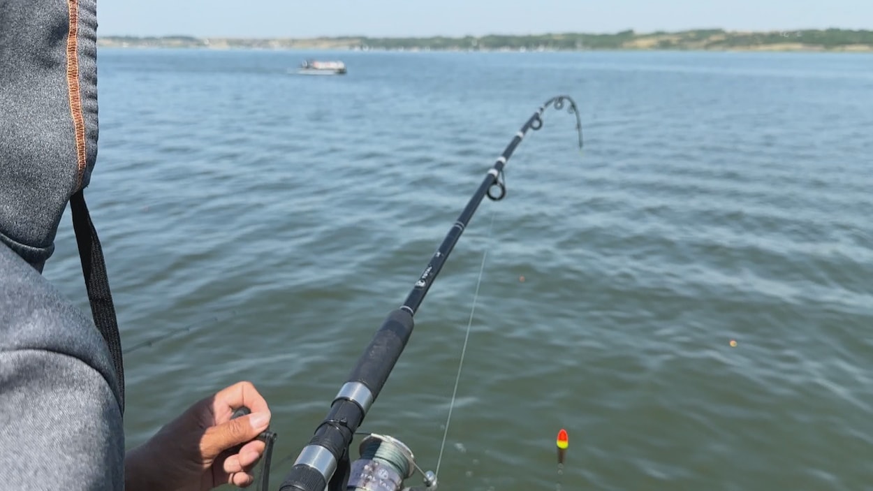 Un nouveau certificat d’habitat pour financer l’ensemencement des lacs en Saskatchewan