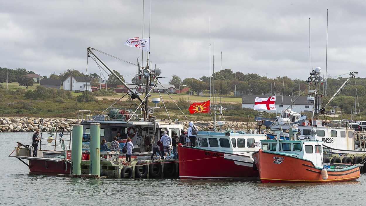 Plusieurs bateaux de pêche amarrés au quai.
