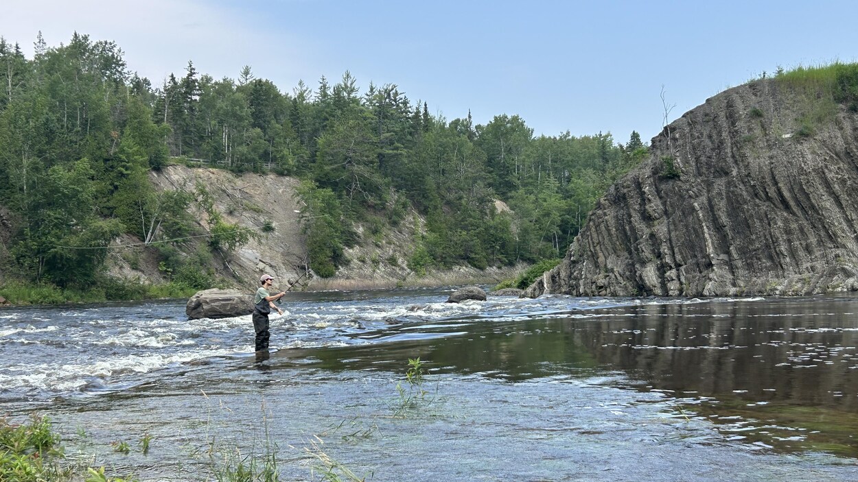 Moins De Saumons Dans Les Rivi Res Mitis Et Rimouski Cet T Radio Canada