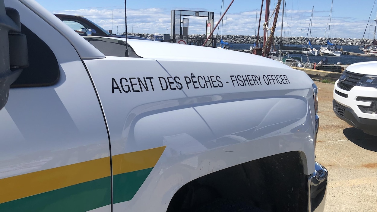 Plus de 60 000 $ d’amendes pour des pêcheurs fautifs