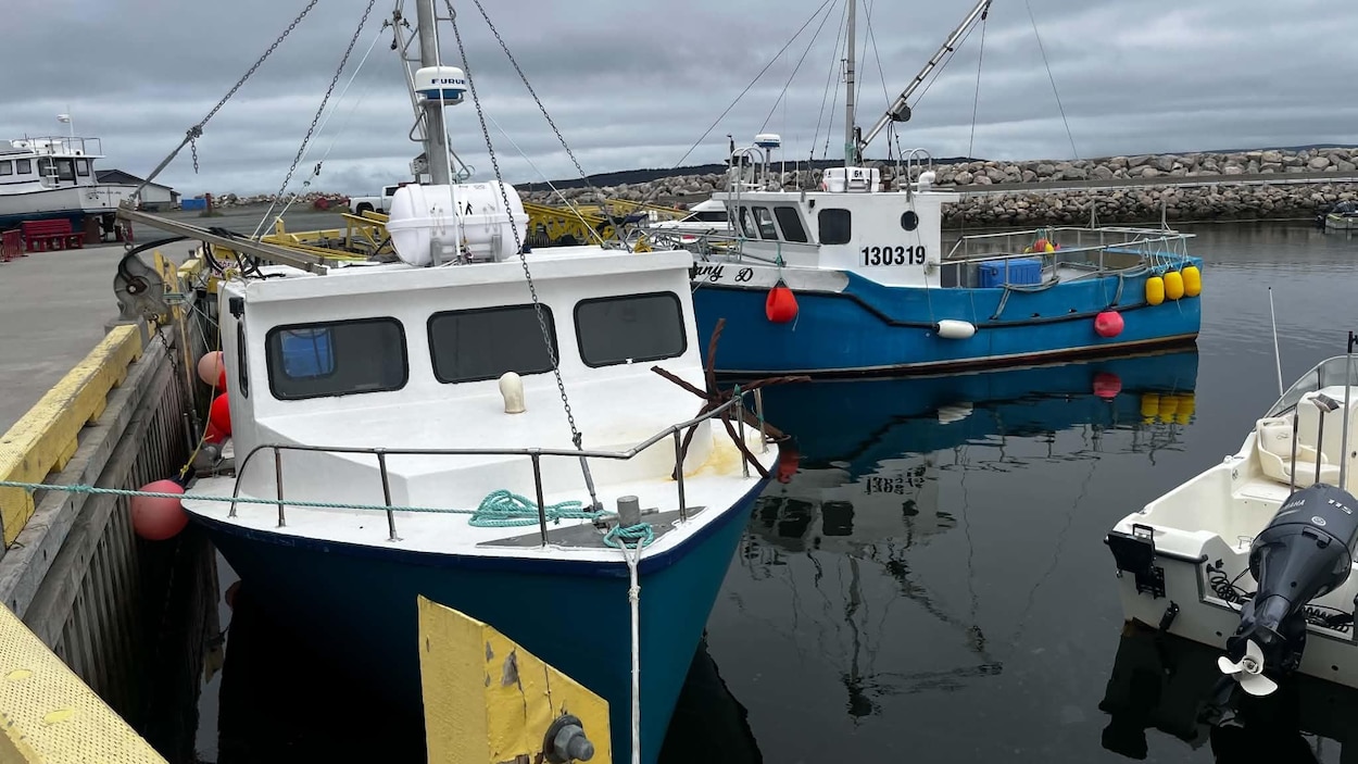 La pêche récréative à la morue 7 jours sur 7 fait des heureux
