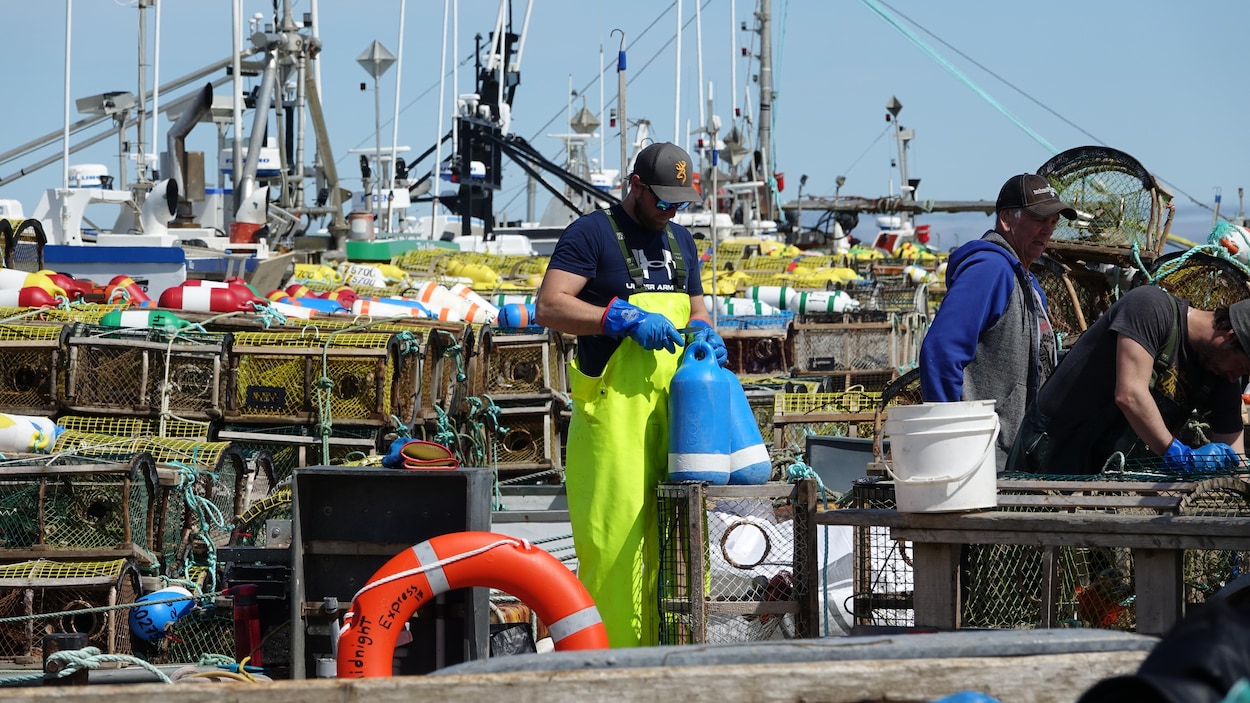 Des bouées sèment l’inquiétude aux Îles