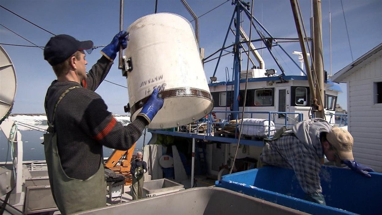 Deux hommes manipulent de l'équipement de pêche sur un bateau.