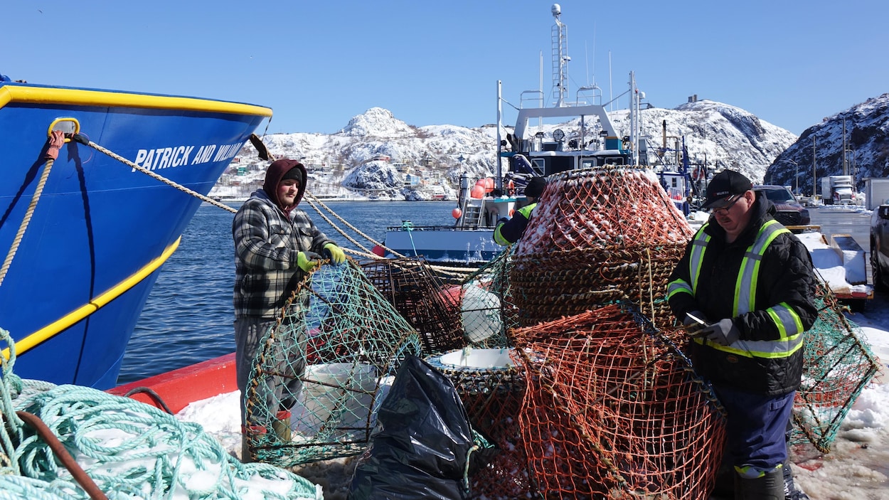 Pêche au crabe : les transformateurs de T.-N.-L. poursuivent des cadres du FFAW
