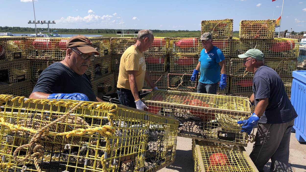 Quatre hommes sur le quai un après-midi d'été autour de casiers à homard. Deux des hommes transportent un casier jaune.