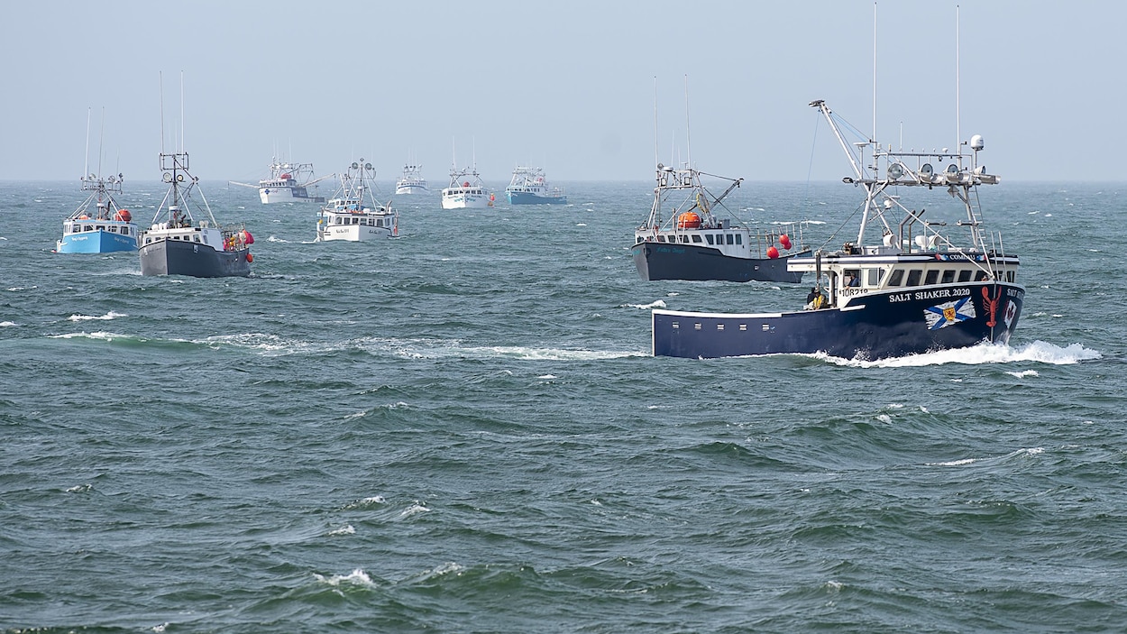 Une dizaine de bateaux sur l'eau.