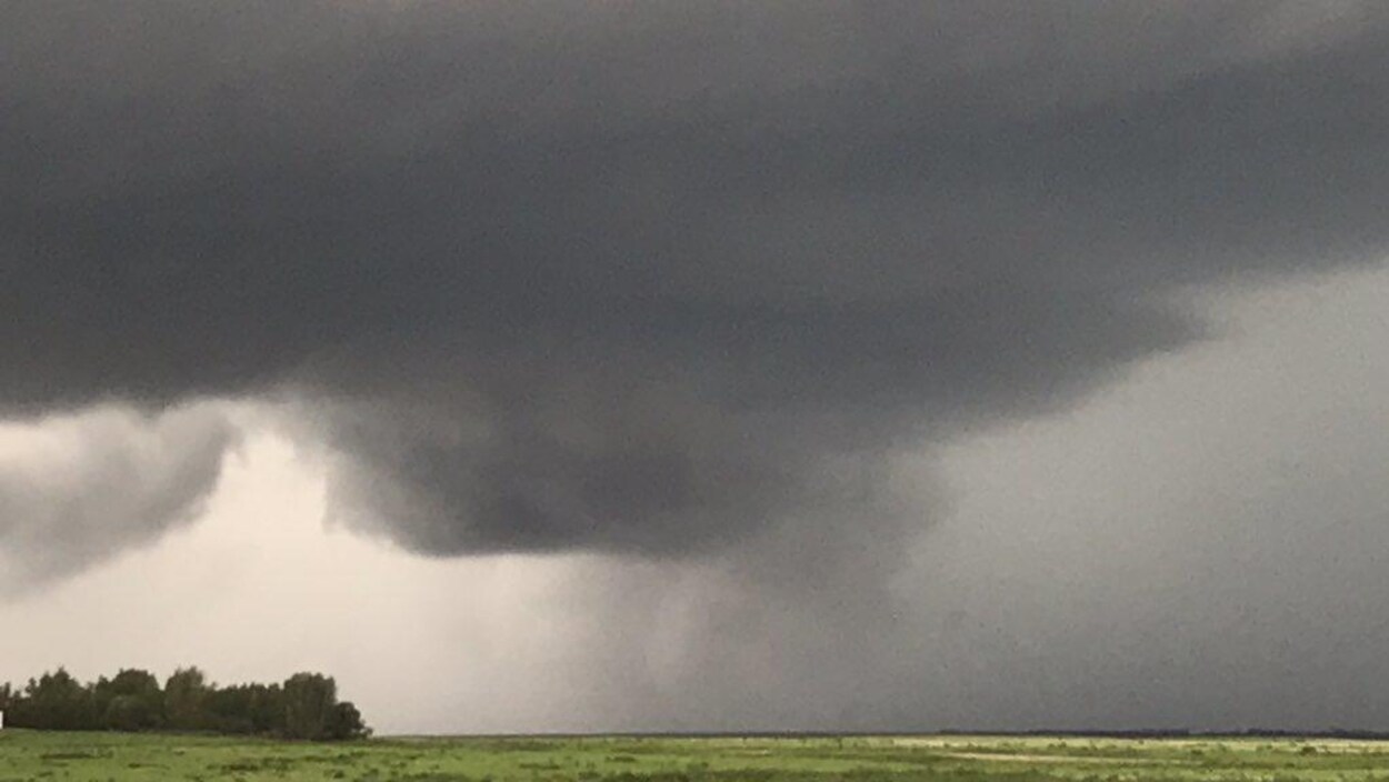 Vue d’un nuage énorme qui plane sur une prairie.