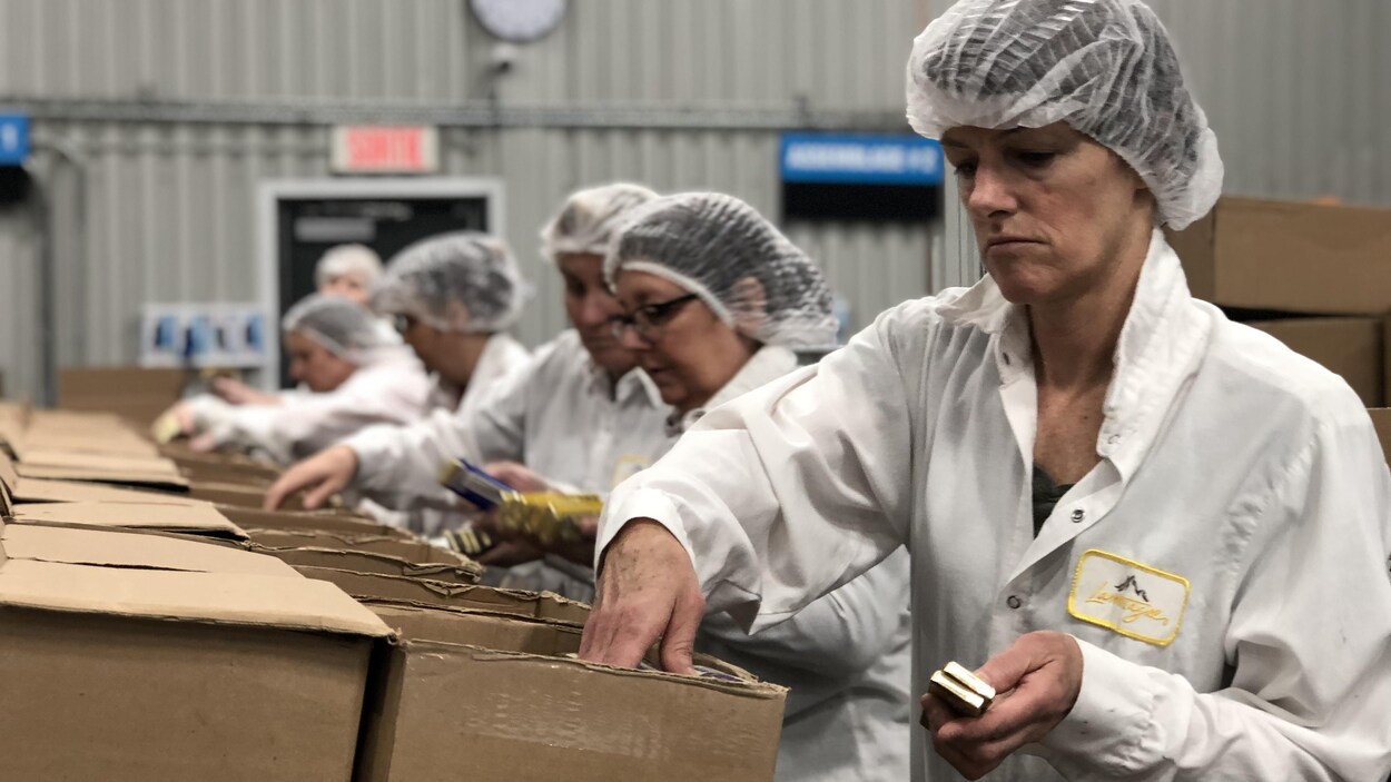 Plusieurs femmes, côte à côte, placent du chocolat