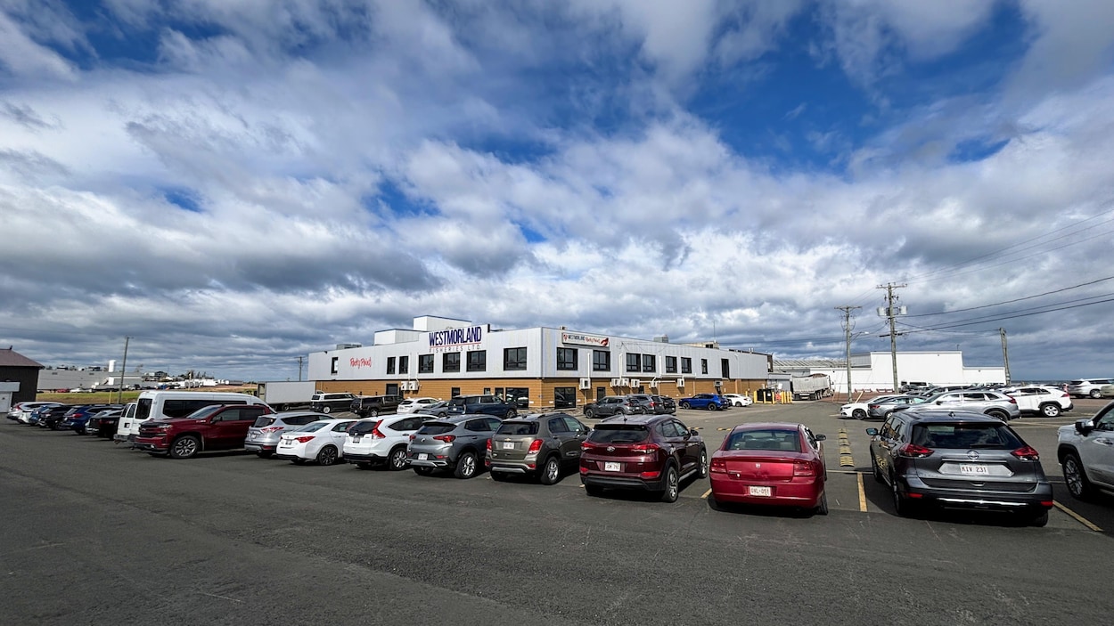 Un projet d’usine de séchage de coquilles de crustacés inquiète à Cap-Acadie